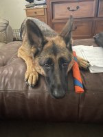 IMG_0507.jpeg