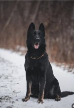 Screenshot_20250831_144947.jpg Screenshot_20250831_144947.jpg