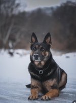 Screenshot_20250831_144909.jpg Screenshot_20250831_144909.jpg