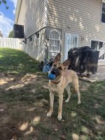 IMG_3969.jpeg