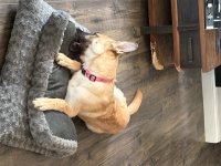 IMG_1832.jpeg