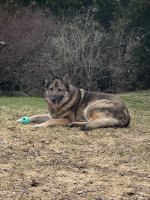 IMG_0954.jpeg
