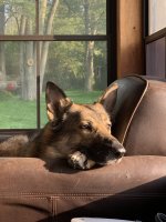IMG_0500.jpeg