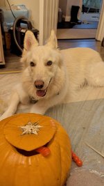 WhatsApp Image 2025-10-27 at 17.34.42.jpeg