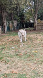 WhatsApp Image 2025-10-17 at 11.56.02.jpeg