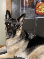 1761695463998.png 1761695463998.png