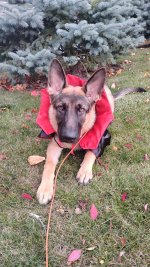 1000007236.jpg 1000007236.jpg