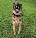 1000004775.jpg 1000004775.jpg