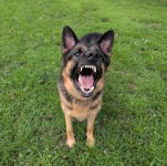 1000004776.jpg 1000004776.jpg