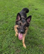 1000004777.jpg 1000004777.jpg