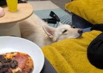 WhatsApp Image 2025-11-04 at 21.40.20.jpeg WhatsApp Image 2025-11-04 at 21.40.20.jpeg