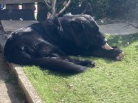 IMG_1613.jpeg