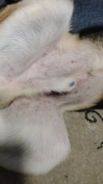 1000007303.jpg 1000007303.jpg