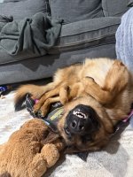 IMG_2449.jpeg IMG_2449.jpeg