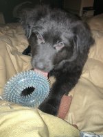IMG_1301.jpeg