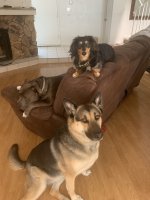 IMG_8836.jpeg IMG_8836.jpeg