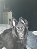 IMG_1317.jpeg