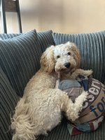 IMG_1584.jpeg