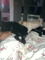 IMG_1535.jpeg