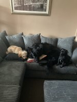 IMG_1514.jpeg