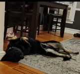 Screenshot_20251117_202845.jpg Screenshot_20251117_202845.jpg