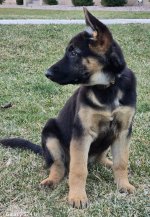 1000003340.jpg 1000003340.jpg