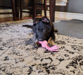 1000001454.jpg 1000001454.jpg