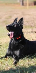 Screenshot_20251117_113047.jpg Screenshot_20251117_113047.jpg