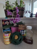 1000005273.jpg 1000005273.jpg