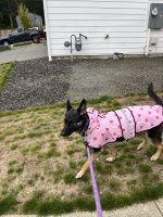 IMG_1389.jpeg IMG_1389.jpeg