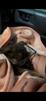 IMG_9151.png IMG_9151.png