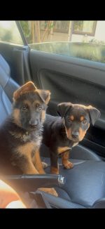 IMG_9153.png IMG_9153.png