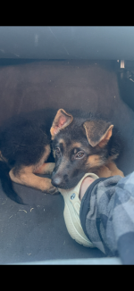 IMG_9149.png IMG_9149.png