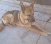 Screenshot_20250808_004017_Gallery.jpg Screenshot_20250808_004017_Gallery.jpg