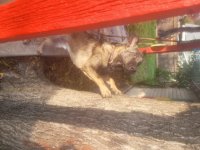 20251204_151049.jpg 20251204_151049.jpg