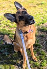 1000004233.jpg 1000004233.jpg