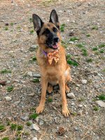 1000003523.jpg 1000003523.jpg