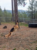 1000003988.jpg 1000003988.jpg