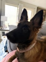 IMG_0451.jpeg IMG_0451.jpeg