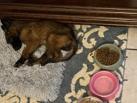 IMG_1007.jpeg IMG_1007.jpeg