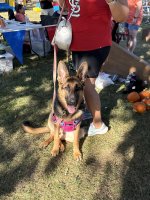 IMG_0506.jpeg IMG_0506.jpeg