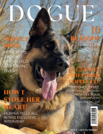 murphy dogue (3).png murphy dogue (3).png