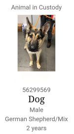 1000007982.jpg 1000007982.jpg