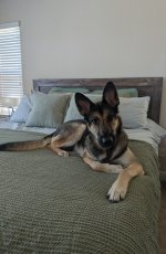 1000005587.jpg 1000005587.jpg