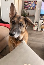 IMG_3604.jpeg IMG_3604.jpeg