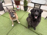 IMG_3375.jpeg IMG_3375.jpeg