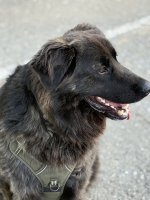 IMG_2166.jpeg IMG_2166.jpeg