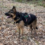 481258967_614061878150963_8966852469867777737_n (# Name clash 2025-12-29 2j42wyC #).jpg