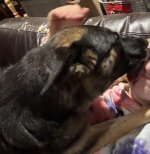 1767921192876.jpeg 1767921192876.jpeg