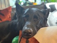 IMG_1478.jpeg IMG_1478.jpeg